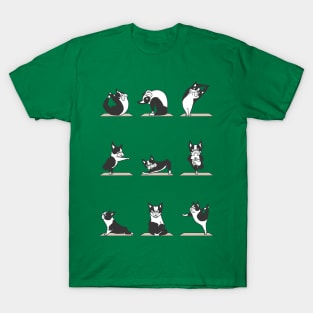 Boston Terriers Yoga T-Shirt